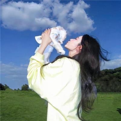 龙棺古墓：西夏狼王